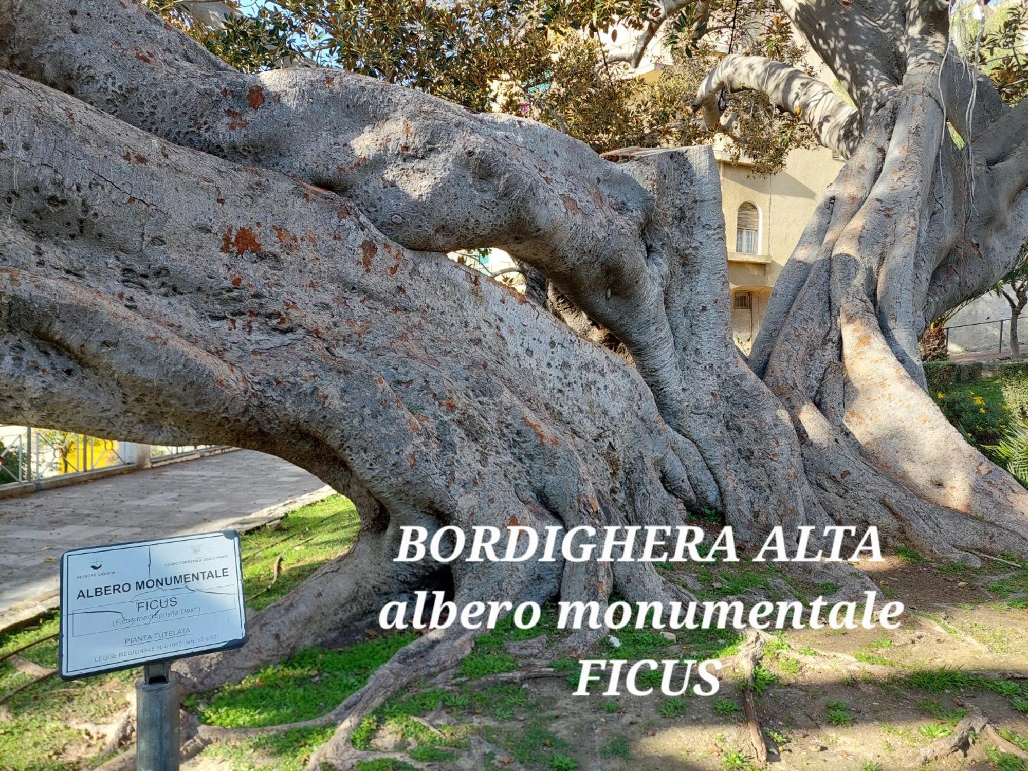Emozioni Casa Vista Mare Bordighera Bagian luar foto