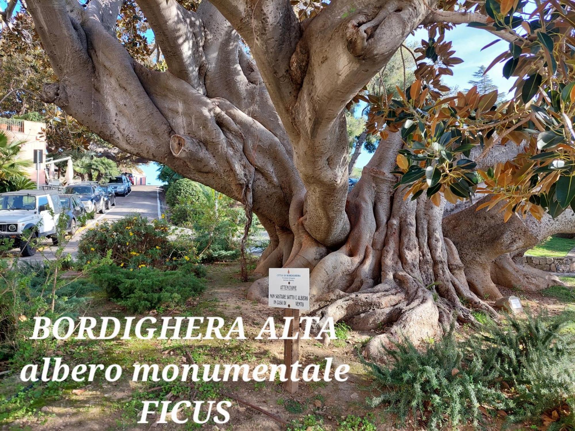 Emozioni Casa Vista Mare Bordighera Bagian luar foto