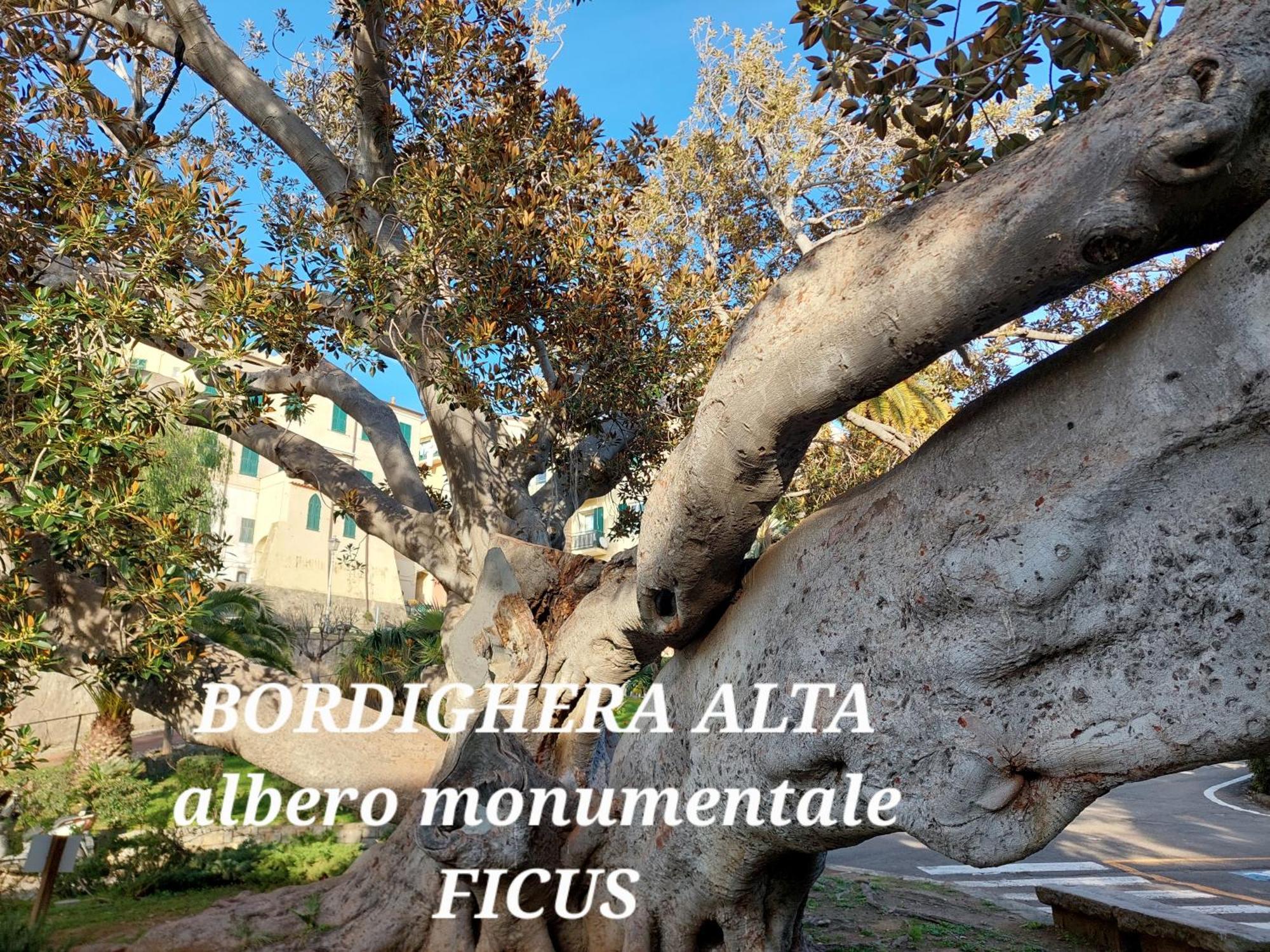 Emozioni Casa Vista Mare Bordighera Bagian luar foto
