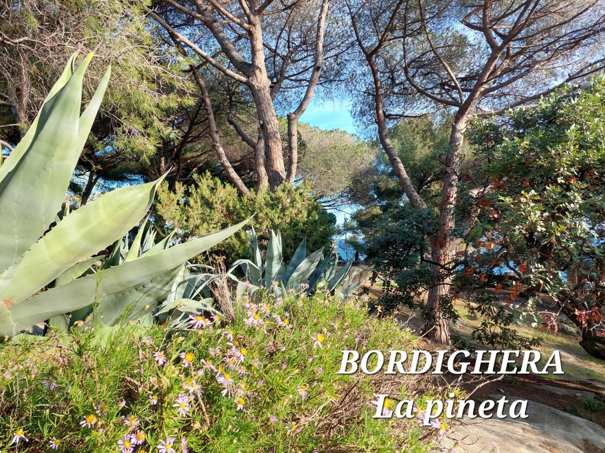 Emozioni Casa Vista Mare Bordighera Bagian luar foto