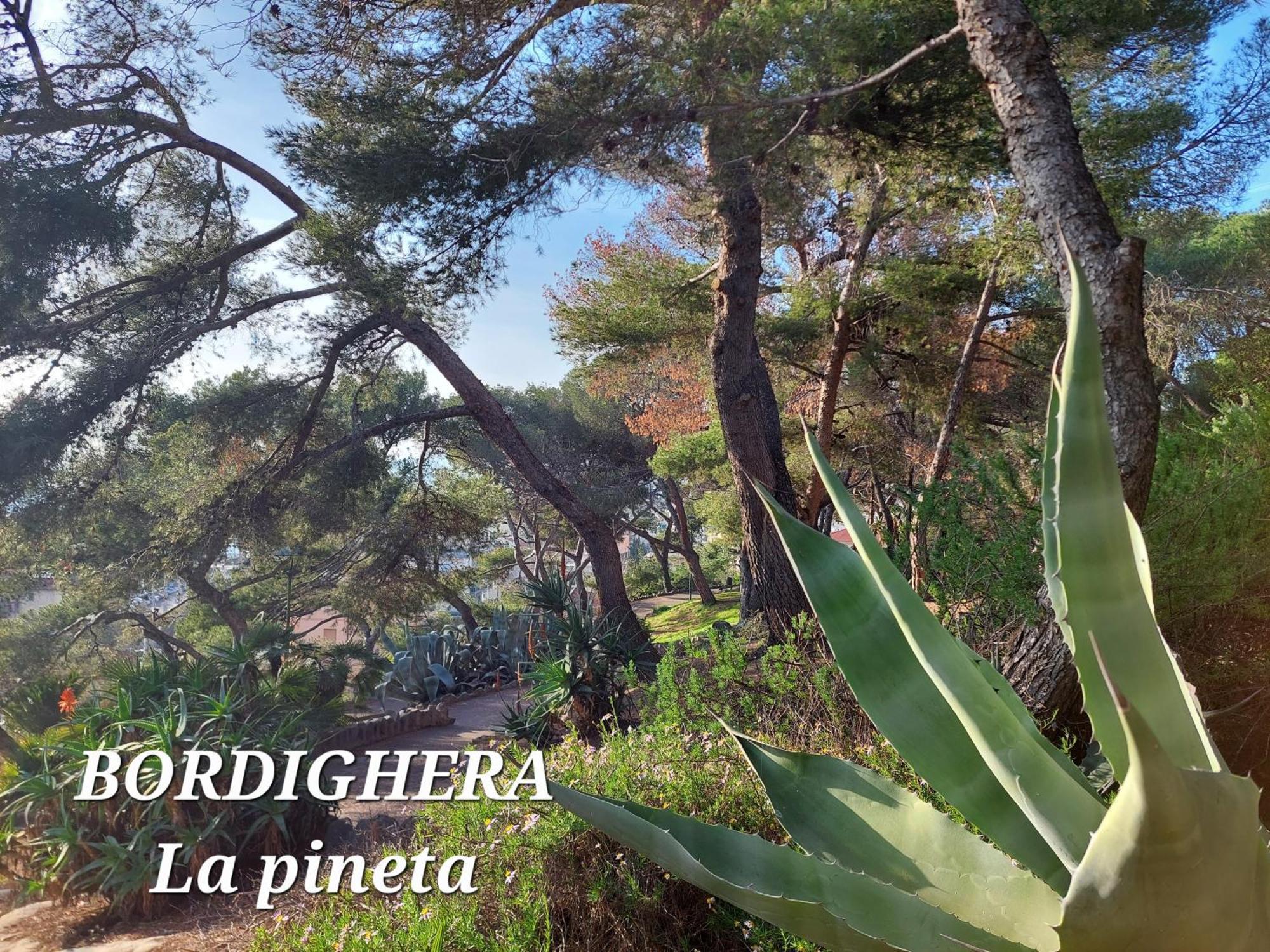 Emozioni Casa Vista Mare Bordighera Bagian luar foto